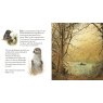 The Wind In The Willows Picture Book