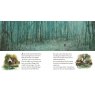The Wind In The Willows Picture Book