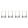 Anton Studio Designs Empire Shot Glasses Set of 4