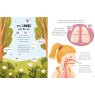 5 Minute Human Body Stories