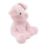 Barnyard Buddies Pig Soft Toy