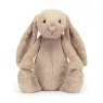 Jellycat  Emma Bridgewater A Big Thank You Rainbow Colours Card