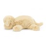 Jellycat  Albetta Boucle Applique Puppy Short Set 6-12months
