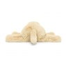 Jellycat  Albetta Boucle Applique Puppy Short Set 6-12months