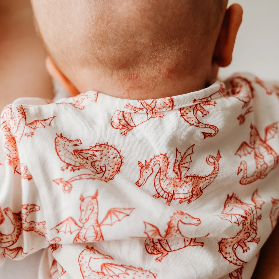 Fox and Lottie Dragon Sleepsuit