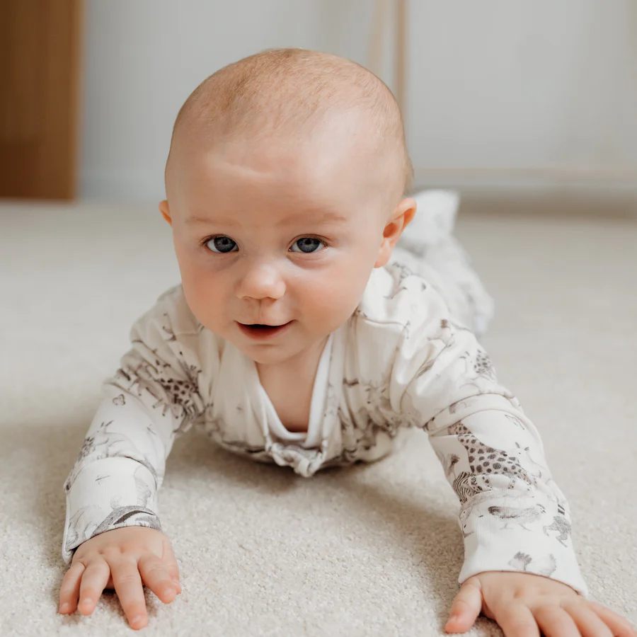 Fox and Lottie Animal Sleepsuit