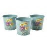 Burgon & Ball RHS Asteraceae Gift Herb Pots