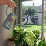 Burgon & Ball Burgon & Ball x RHS Asteraceae Gift Indoor Watering Can