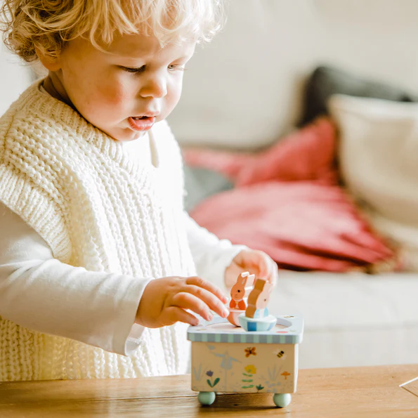 Peter Rabbit™ Music Box
