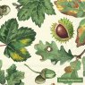 Emma Bridgewater Napkins - Trees & Leaves