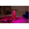 Gingko Sylva Table Lamp - Mini White Ash