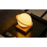 Gingko Smart Saturn Lamp