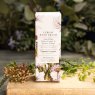 Toasted Crumpet Sparkling Elderflower & Grape Presse Luxury Handcream