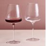 Anton Studio Designs Juno Red Wine Glasses Set of 2