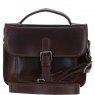 Ashwood Leather Mini Crossbody Satchel Bag - Brandy P-61