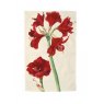 Emma Bridgewater Amarylis Tea Towel