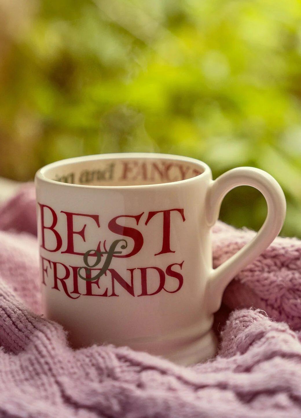 Emma Bridgewater Emma Bridgewater Christmas Toast Best Of Friends 1/2 Pint Mug