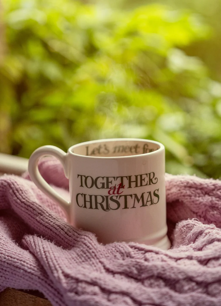 Emma Bridgewater Emma Bridgewater Christmas Toast Best Of Friends 1/2 Pint Mug