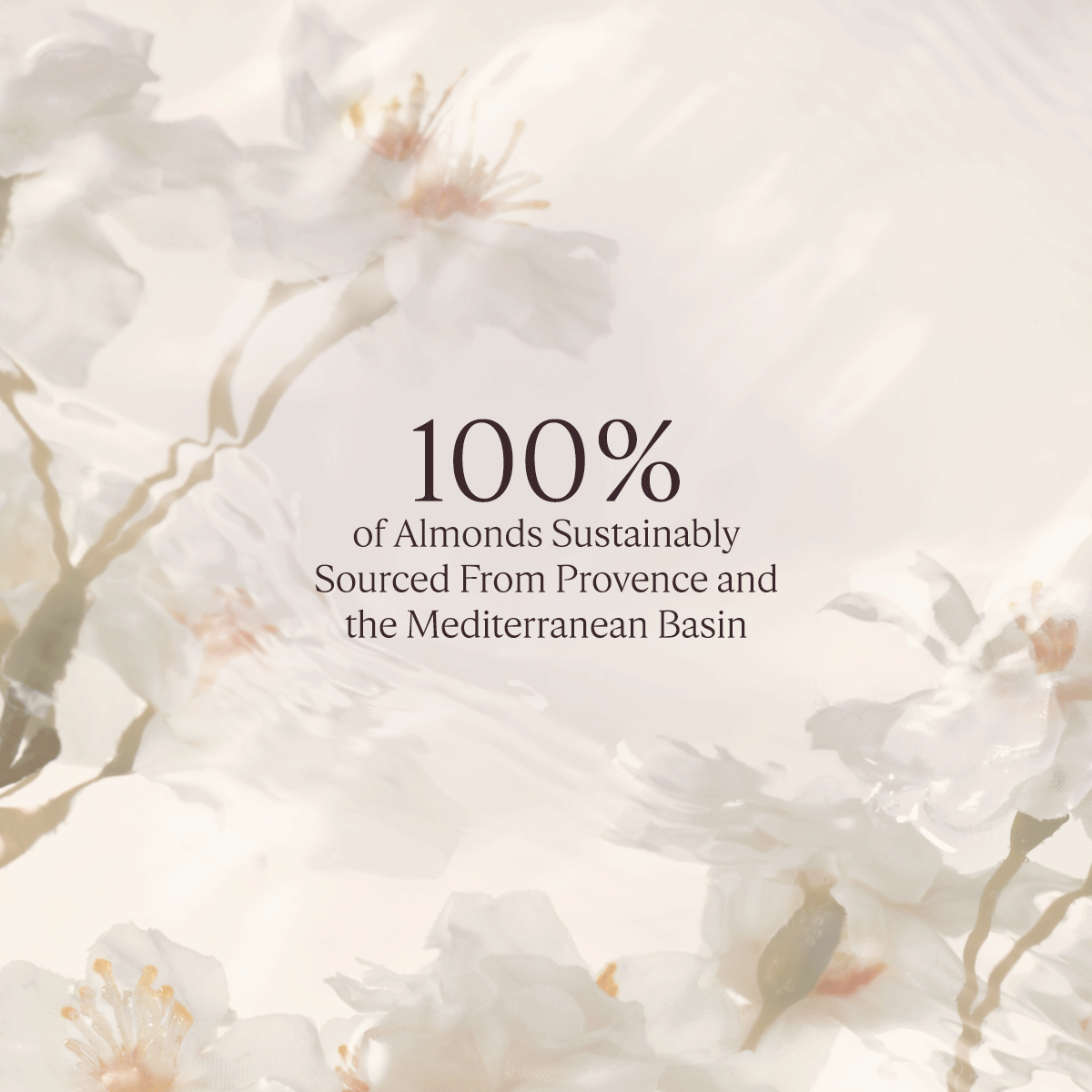 L'Occitane Almond Oil Collection