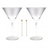 Art of Hosting Martini Cocktail Gift Set