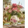 Portmeirion Centenary Edition Sovereign Vase Portmeirion Rose