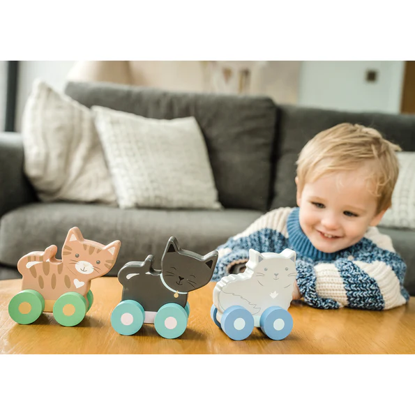 Orange Tree Toys Kitty Push Toys Set of 3