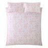 Shabby Chic by Rachel Aswell Chelsea Dusky Rose Bedding