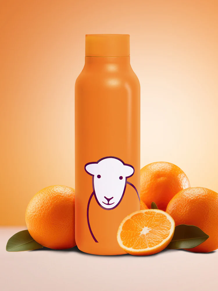 Herdy Hello Travel Flask - Orange