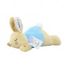Lying Down Musical Peter Rabbit Soft Toy