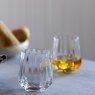 Dartington Crystal Dartington Crystal Aurea Tumbler Pair