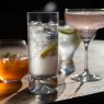 Dartington Crystal Dartington Crystal Dimple Highball Pair