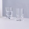 Dartington Crystal Dimple Shot Glass Pair