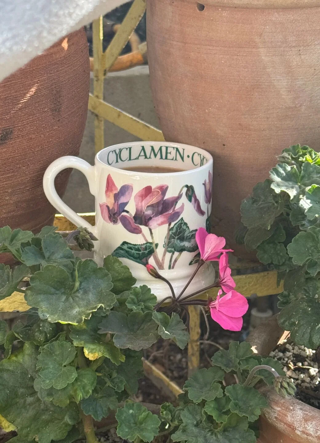 Emma Bridgewater Emma Bridgewater Cyclamen 1/2 Pint Mug