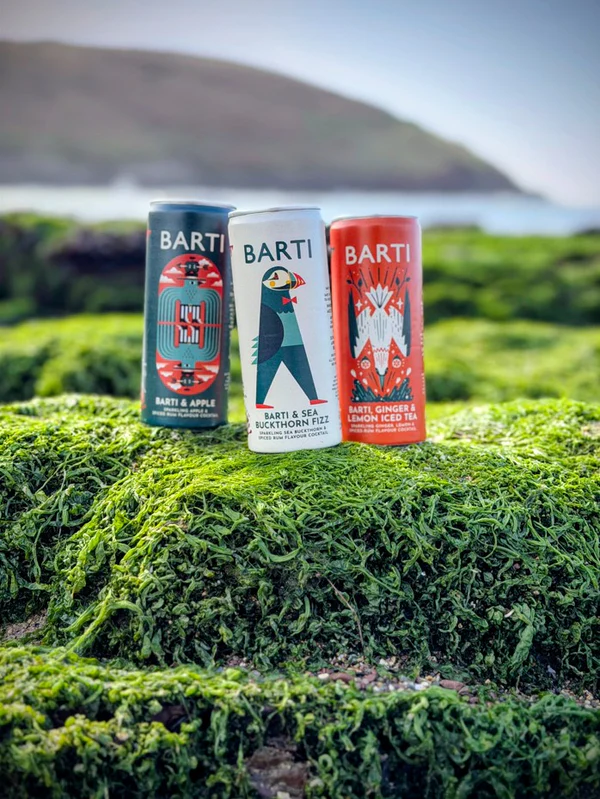 Barti Rum Apple & Barti Cocktail Can 250ml
