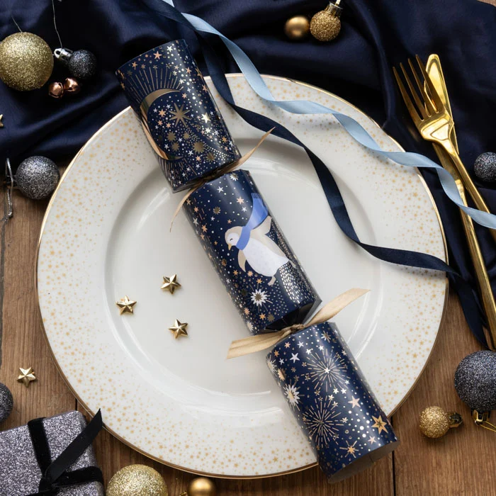 Sara Miller Artic Waltz Navy Crackers