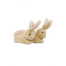 Peter Rabbit™ Peter Rabbit First Booties Gift Set