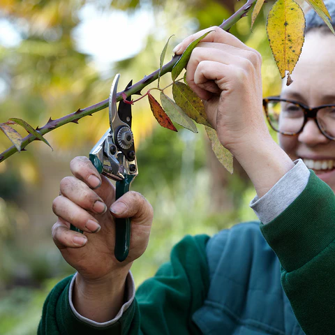 Burgon & Ball Pocket Pruner - RHS Endorsed