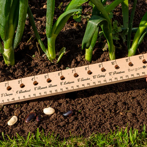 Burgon & Ball Planting Ruler