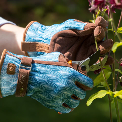 Burgon & Ball Gatsby Glove