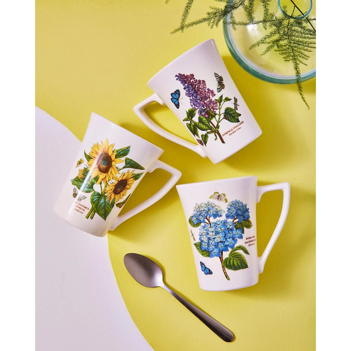 Botanic Garden Mandarin Mug 10oz