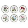 Botanic Garden 8inch Plate