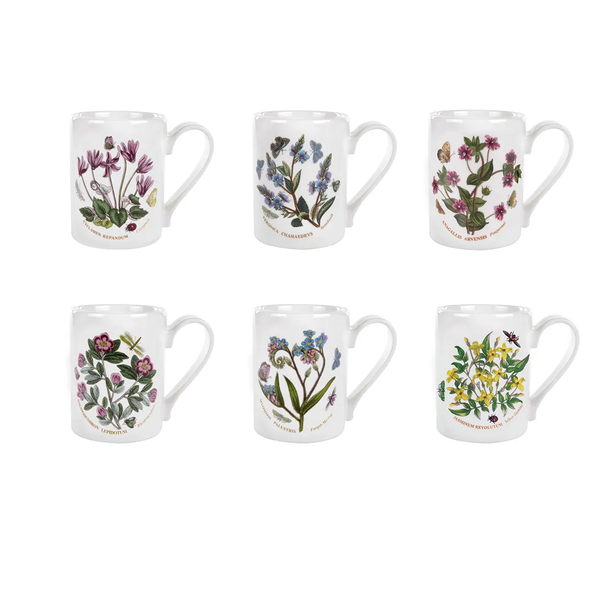 Botanic Garden Coffee Mug
