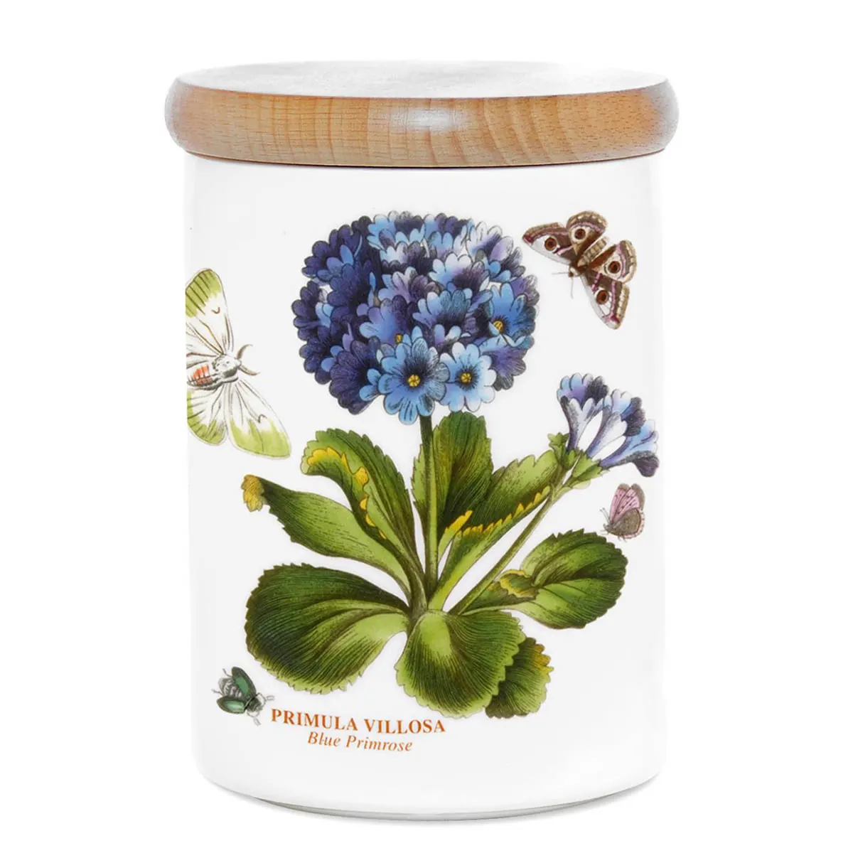 Botanic Garden Airtight Jar 5.5inch
