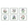 Botanic Garden Rectangular Placemats Set Of 6