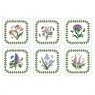 Botanic Garden Square Coasters Pimpernel Set Of 6