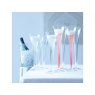 LSA Hollow Stem Champagne Flute Clear