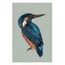 Ben Rothery Kingfisher Greeting Card