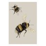 Ben Rothery Bumble Bee Greeting Card