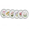 Exotic Botanic Garden Plate 8inch