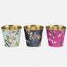 Sara Miller Orchard Set of 3 Plant Pots